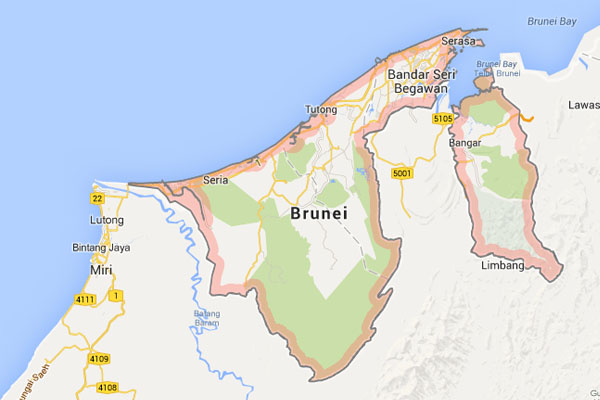 ip investigation Brunei