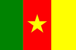 ip rights investigator Cameroon