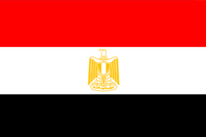 claim investigator egypt