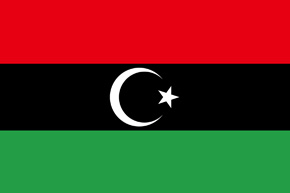 corporate investigator libya