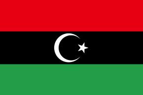 claim investigator libya