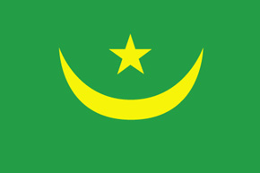 corporate investigator mauritania