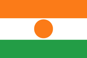 corporate investigator niger