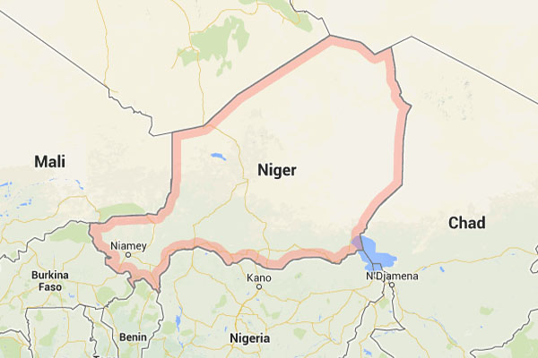 corporate investigation niger