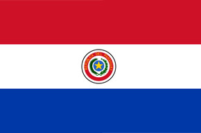 ip rights investigator Paraguay