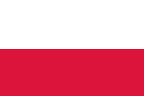 corporate investigator poland