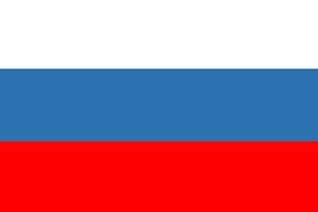 corporate investigator russia