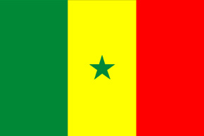 corporate investigator senegal