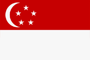 ip rights investigator Singapore