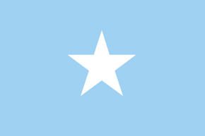 claim investigator somalia