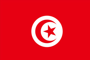 claim investigator Tunisia