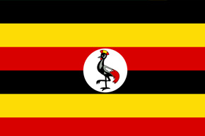 claim investigator uganda